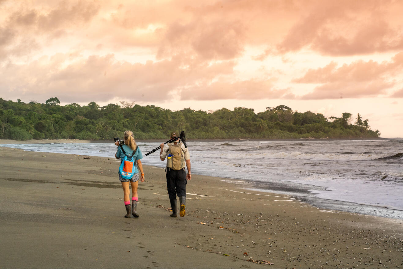Corcovado National Park Costa Rica