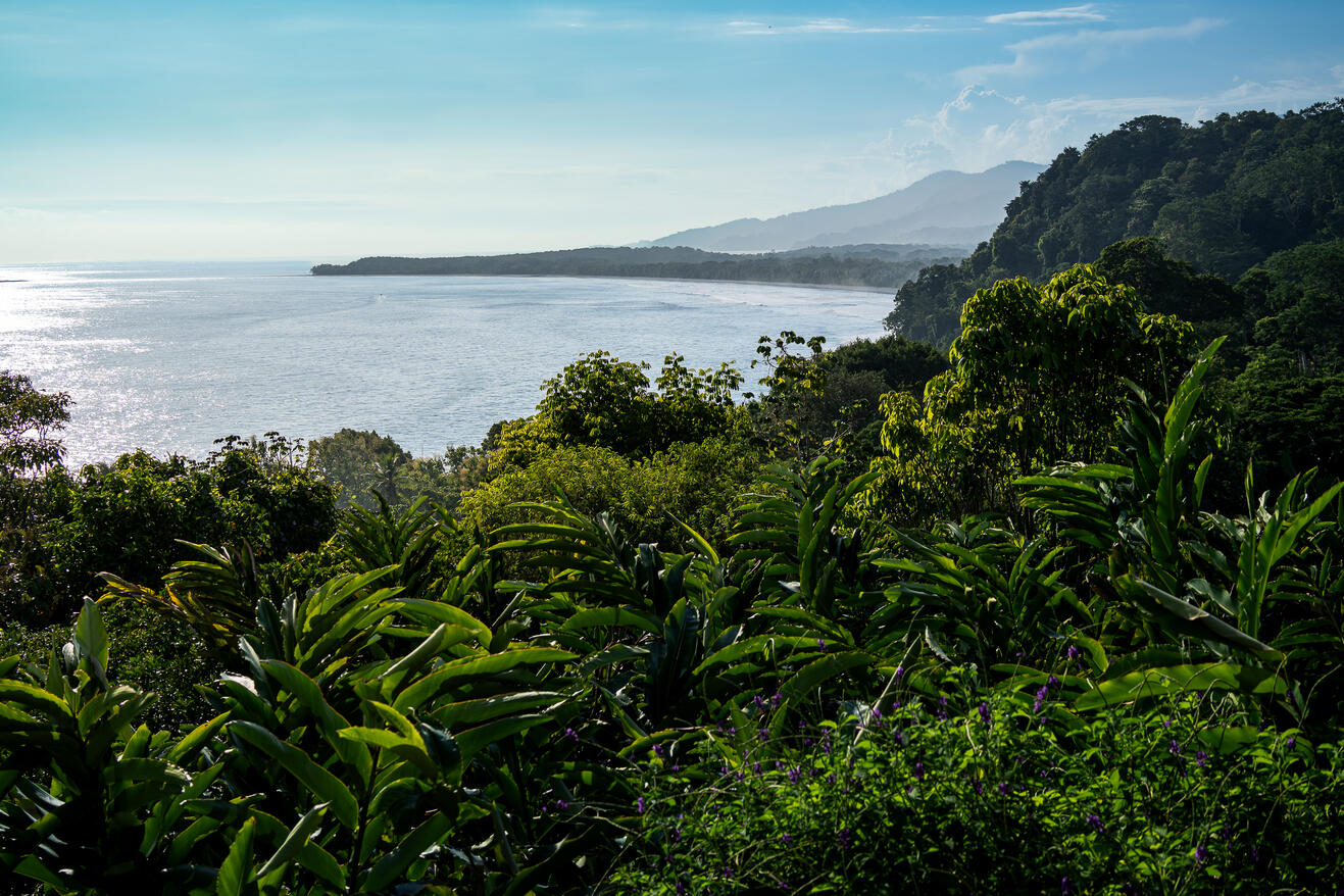 Bahía Ballena, Costa Rica